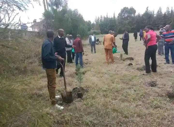 Tree Planting Initiative